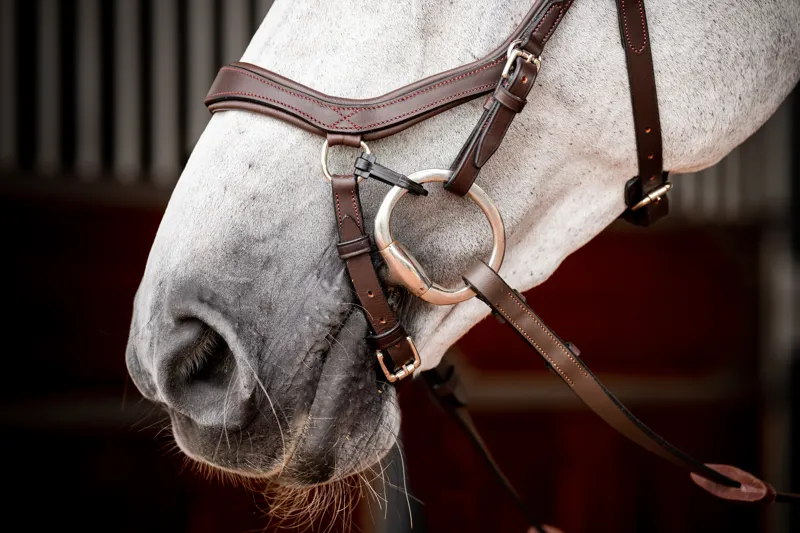 Rambo Micklem 2 Competition Bridle WITHOUT Reins Dark Havana-2